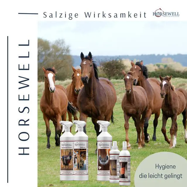 Wo kann HORSEWELL eingesetzt werden?