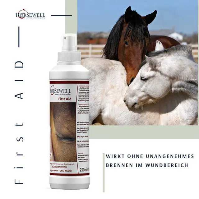 Was ist bei der Anwendung von HORSEWELL zu beachten?