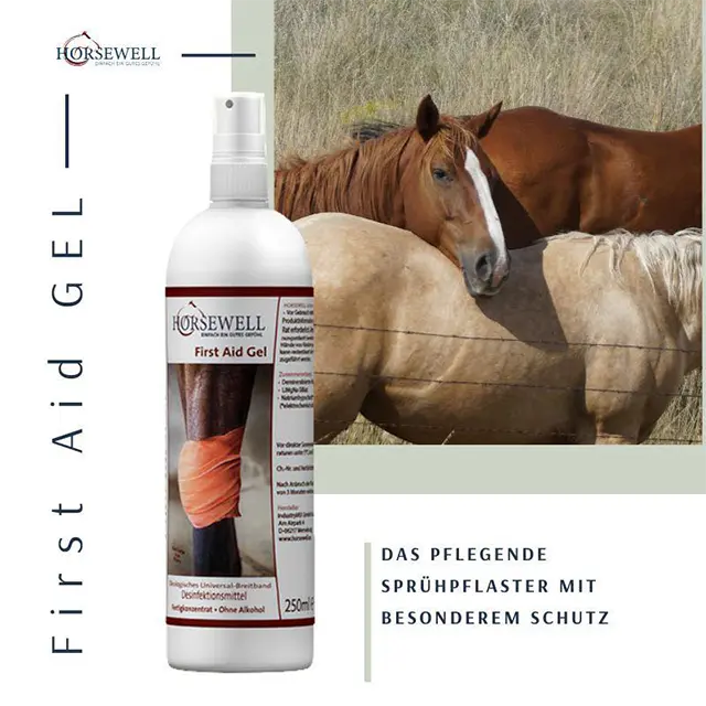 Welche Registrierung hat HORSEWELL?