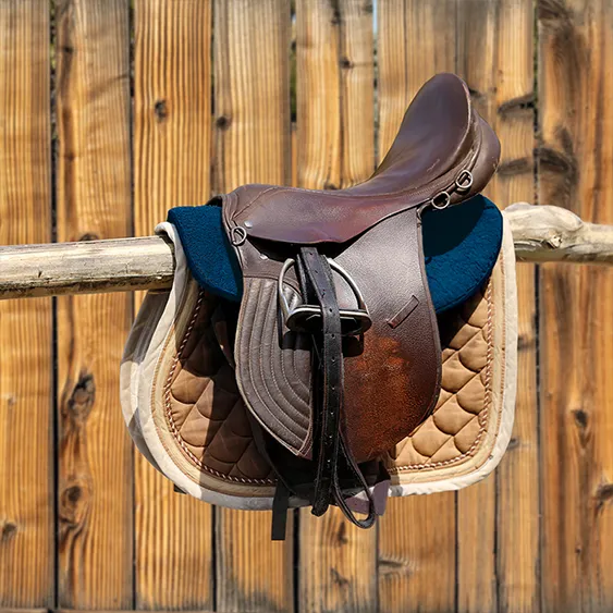 Ökologisches Desinfektionsmittel