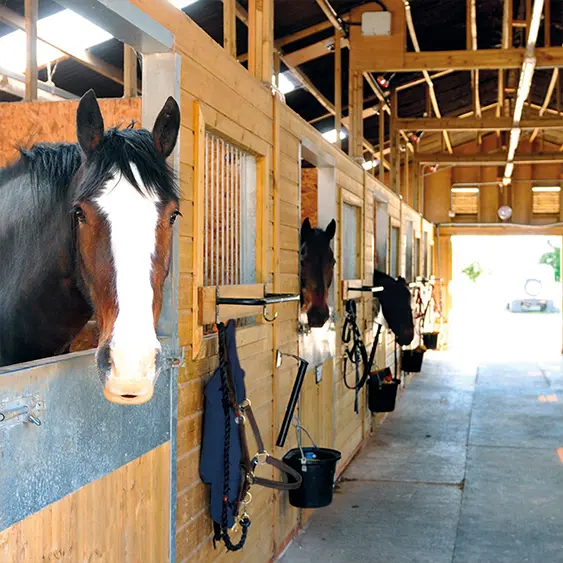 Eigenschaften & Vorteile