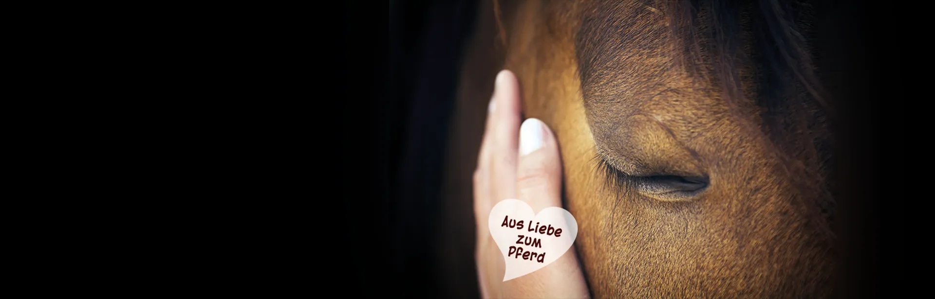 Aus Liebe zum Pferd